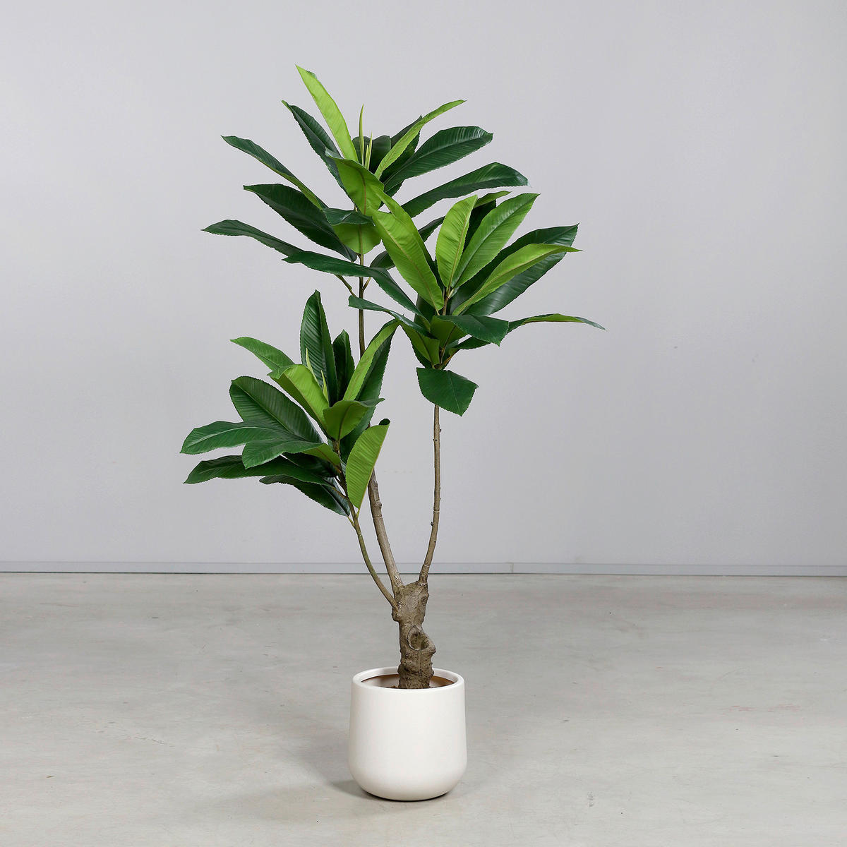 PFLANZENTOPF - Grün, Basics, Kunststoff (160cm)