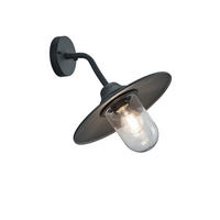 VÄGGLAMPA FÖR UTOMHUS - antracit, Romantik / Lanthus, metall (30/32cm) - Trio Leuchten