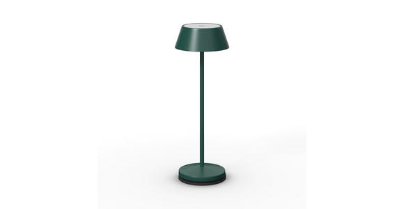 AKKU-TISCHLEUCHTE 11/30 cm  - Dunkelgrün/Schwarz, Trend, Kunststoff/Metall (11/30cm) - Novel