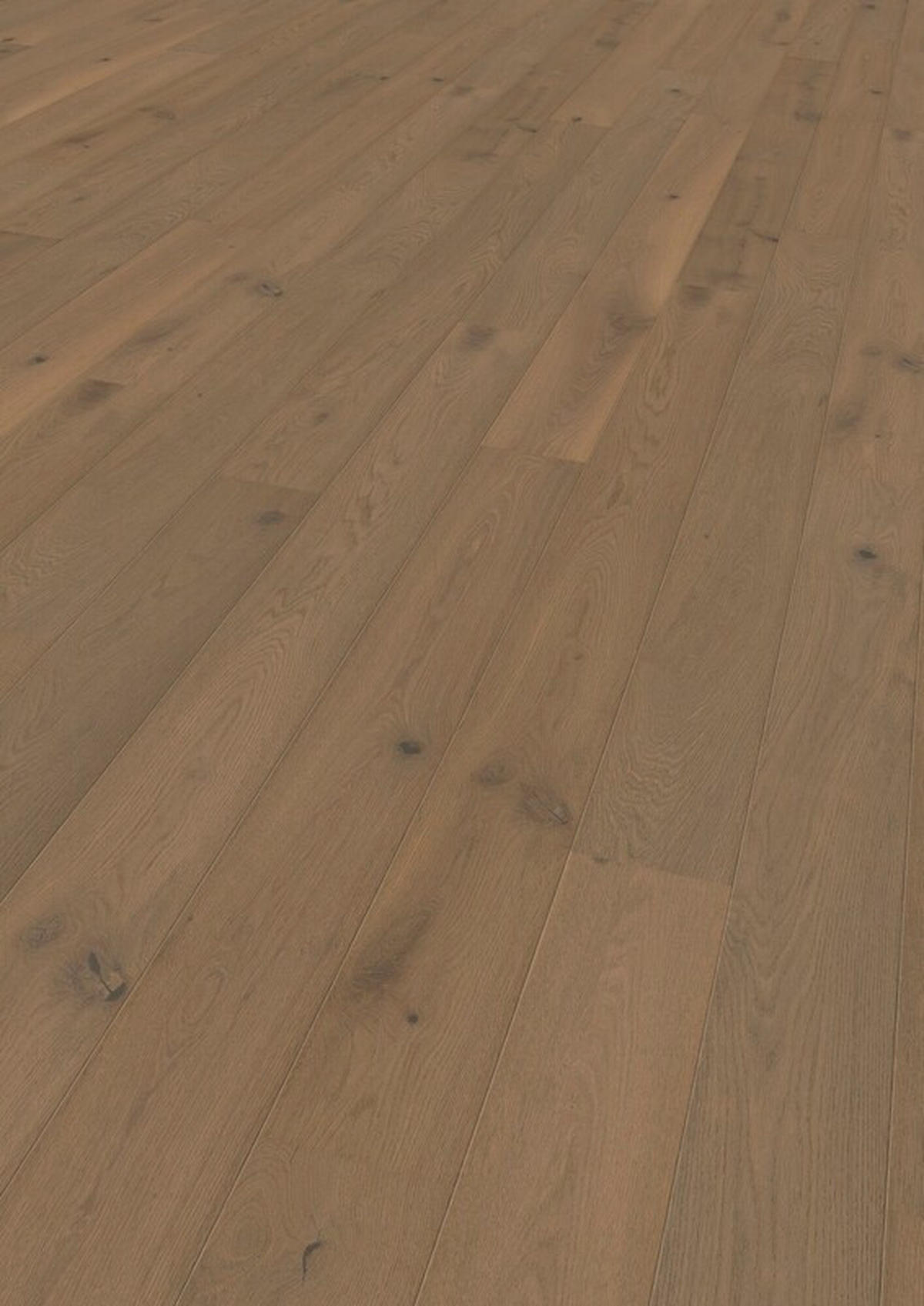 LANDHAUSDIELE Marcanto Trend Eiche Cafe!Pur Alpin100011801  per  m² - Eichefarben, Trend, Holz (220,5/17,6/1,3cm) - Tilo
