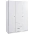 DREHTÜRENSCHRANK 3-türig Weiß  - Weiß, Basics, Holzwerkstoff (136/197/54cm) - Xora