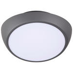 LED-DECKENLEUCHTE 26/12,5 cm   - Anthrazit, LIFESTYLE, Metall (26/12,5cm) - Novel
