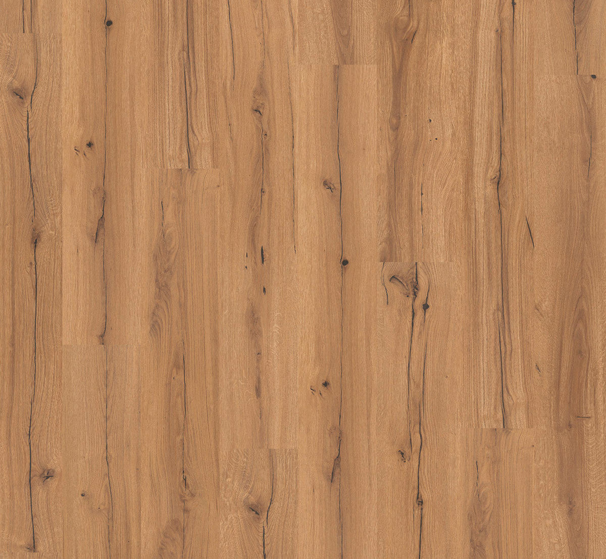 LAMINATBODEN Laminat Basic 400  per  m² - Eichefarben, Basics, Holzwerkstoff (128.5/19.4/0.8cm) - Parador