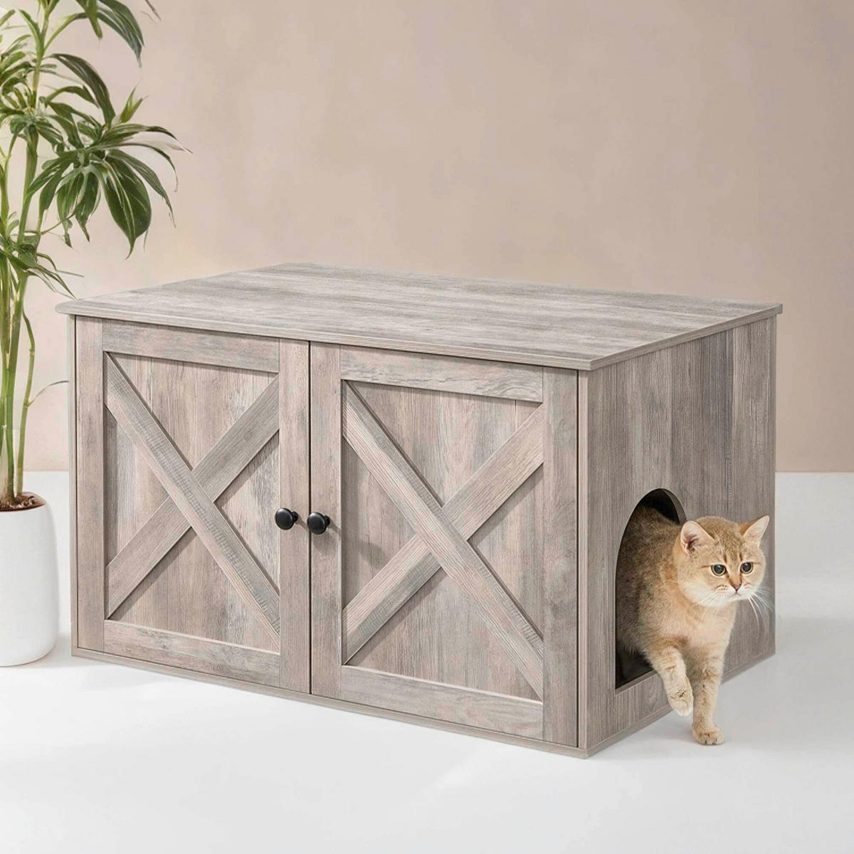 KATZENTOILETTE - Greige, Trend, Holzwerkstoff (80/50/53cm) - Boxxx