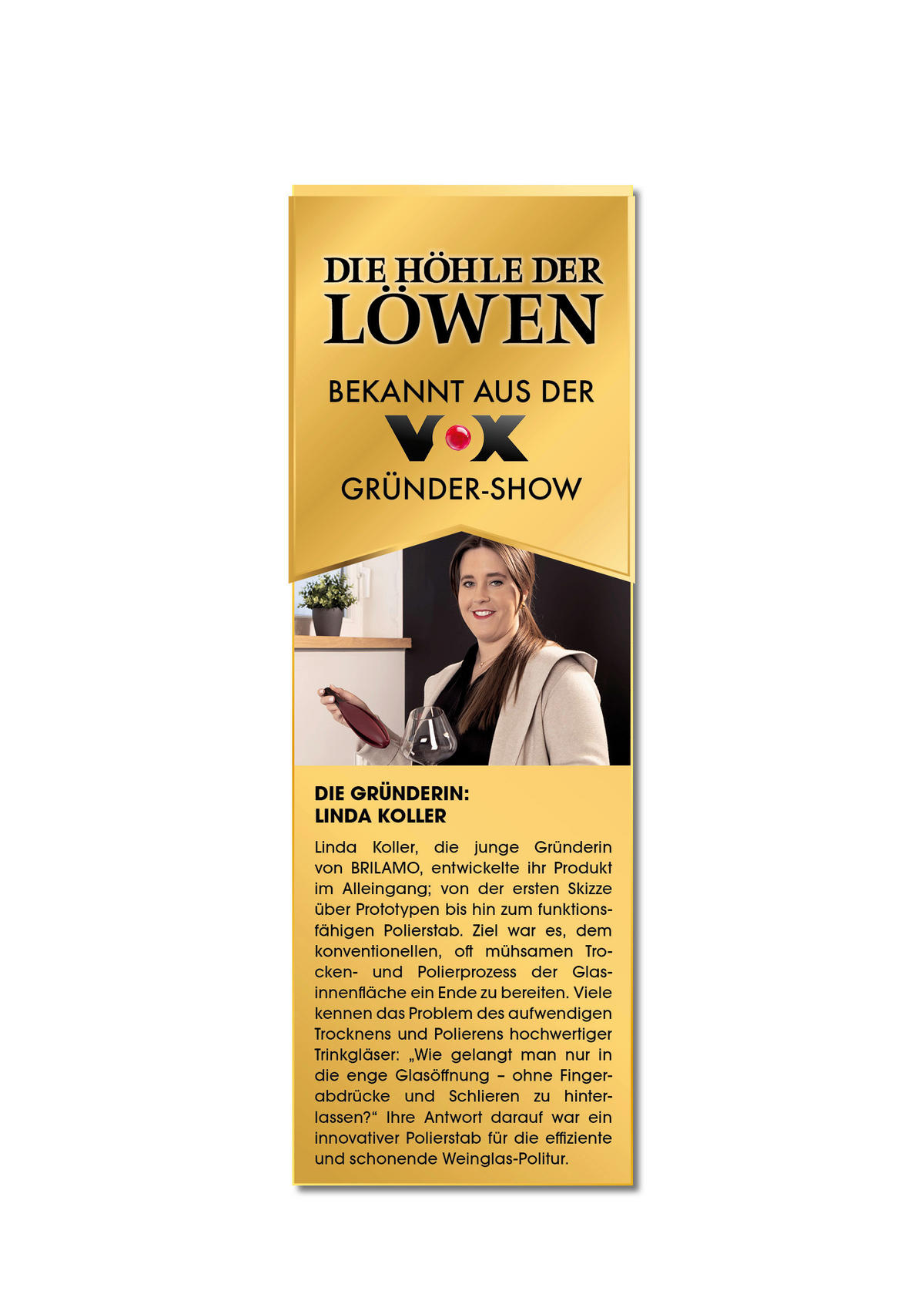 GLAS-POLIERSET Brilamo  - Weinrot, Basics, Kunststoff/Textil (26/6/6cm)