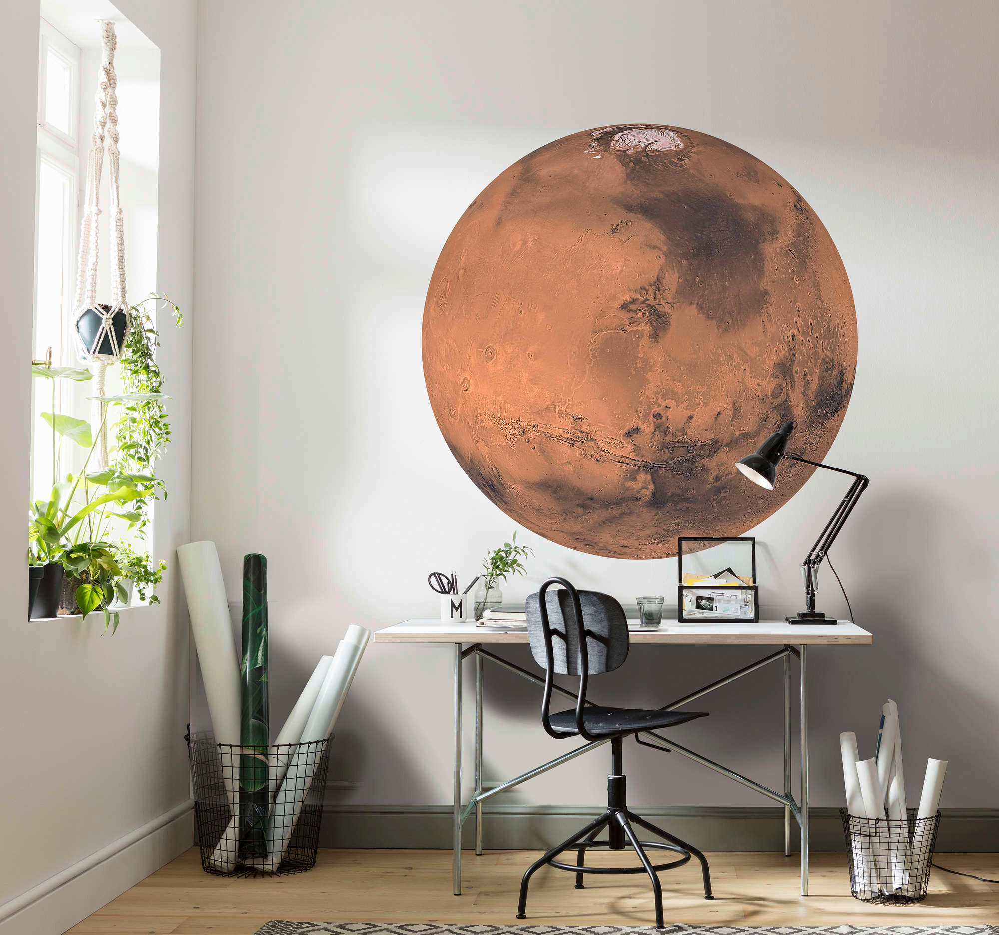 FOTOTAPET  - röd, Trend, papper (125cm) - Komar