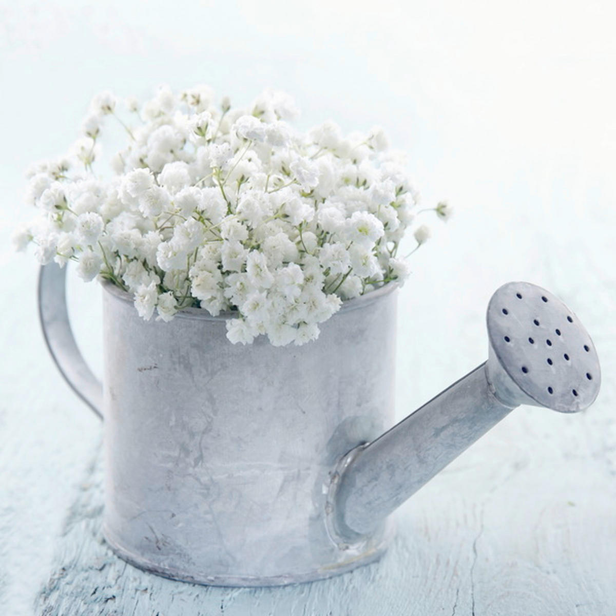 ŠTAMPA NA PLATNU     28/28 cm       - boja aluminijuma/bela, Osnovno, drvo/tekstil (28/28cm) - Monee