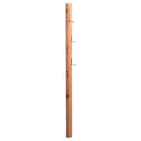 GARDEROBENLEISTE  in Wildeiche massiv Eichefarben  - Eichefarben, Basics, Holz (8/183/4cm)