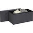 SITZBOX in - Anthrazit, Design, Holzwerkstoff/Textil (76/38/38cm) - Carryhome SITZBOX in - Anthrazit, Design, Holzwerkstoff/Textil (76/38/38cm) - Carryhome