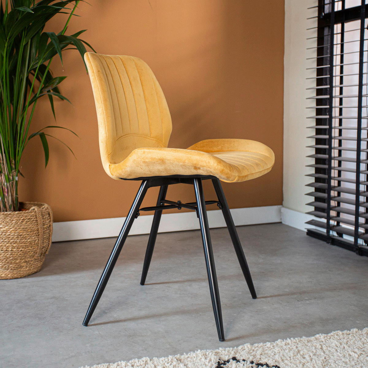 STUHL-SET 4 Stück  in Samt  - Gelb/Schwarz, Design, Textil/Metall (47/82/55cm) - MID.YOU