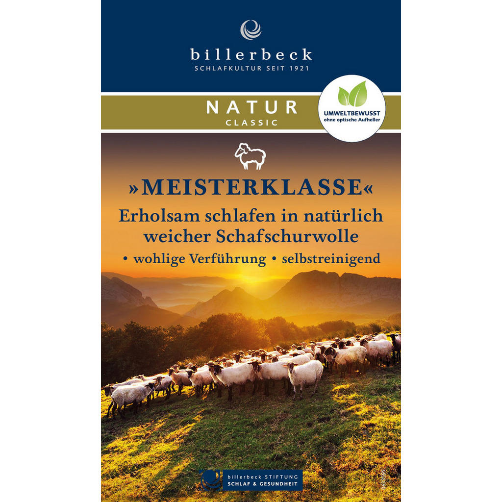 Thumbnail - Billerbeck Ganzjahresdecke Meisterklasse Uno, Weiß, Textil, 155x220 cm, Schlaftextilien, Bettdecken, 4 Jahreszeiten Bett...