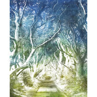VLIESTAPETE  - Natur (200/250cm) - Komar