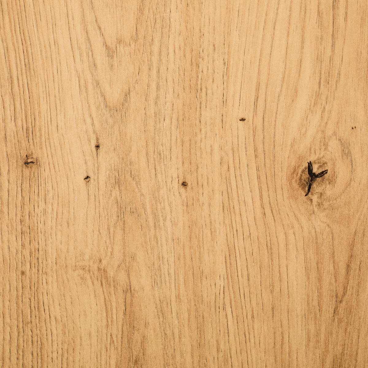 REGAL Schwarz, Eichefarben  - Eichefarben/Schwarz, Basics, Holzwerkstoff/Metall (156/165/35cm) - Xora