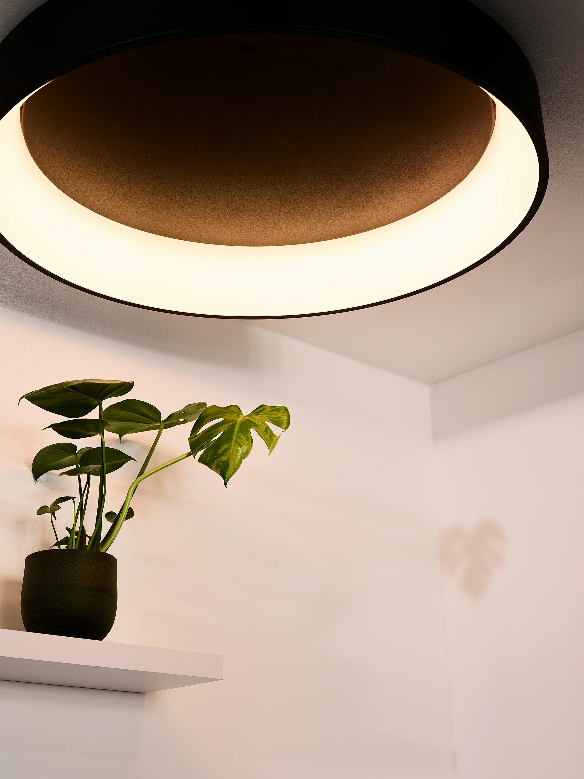 LED-DECKENLEUCHTE Talowe Led 80/80/13 cm   - Schwarz, MODERN, Metall (80/80/13cm) - Lucide