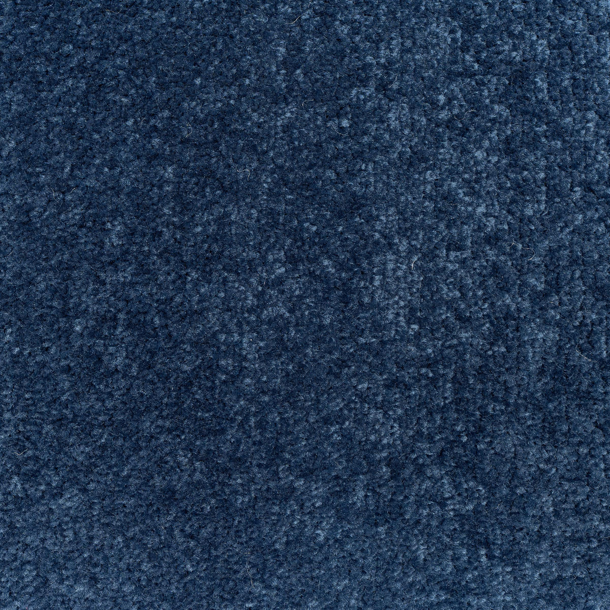 Teppichfliese Carousel 180 50/50 cm  in Dunkelblau  - Dunkelblau, Basics, Textil (50/50cm)