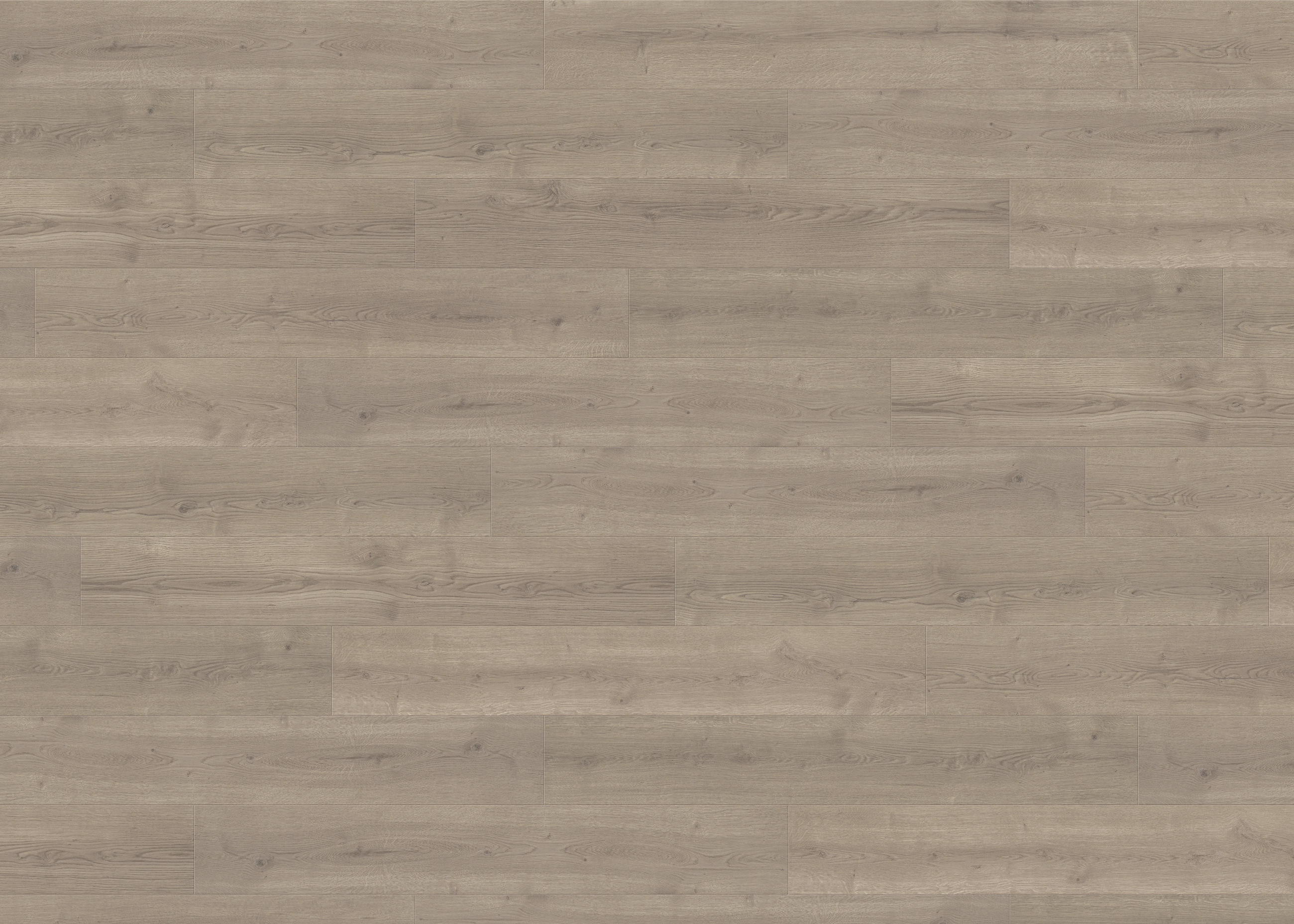 LAMINATBODEN Living by HARO Laminat NKL 32  per  m² - Graubraun, Basics, Holzwerkstoff (19.3/128.2cm) - Living by HARO