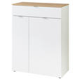 SCHUHSCHRANK 78/103/38 cm - Silberfarben/Schwarz, Design, Holzwerkstoff/Kunststoff (78/103/38cm) - Xora