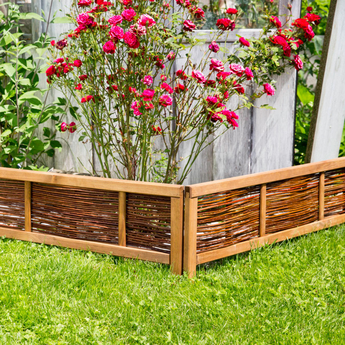 BEETEINFASSUNG - Naturfarben, Basics, Holz (100/25/36cm)