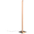 LED-STEHLEUCHTE 22/115 cm    - Eichefarben, LIFESTYLE, Holz/Kunststoff (22/115cm) - Novel