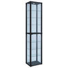 VITRINE  in Schwarz  - Schwarz, MODERN, Glas/Holzwerkstoff (50/227/38cm) - MID.YOU