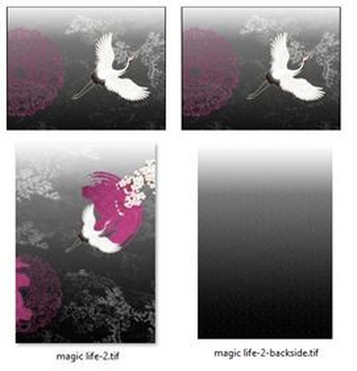 VÄNDBART PÅSLAKANSET satin 150/210 cm  - svart, Trend, textil (150/210cm) - Esposa