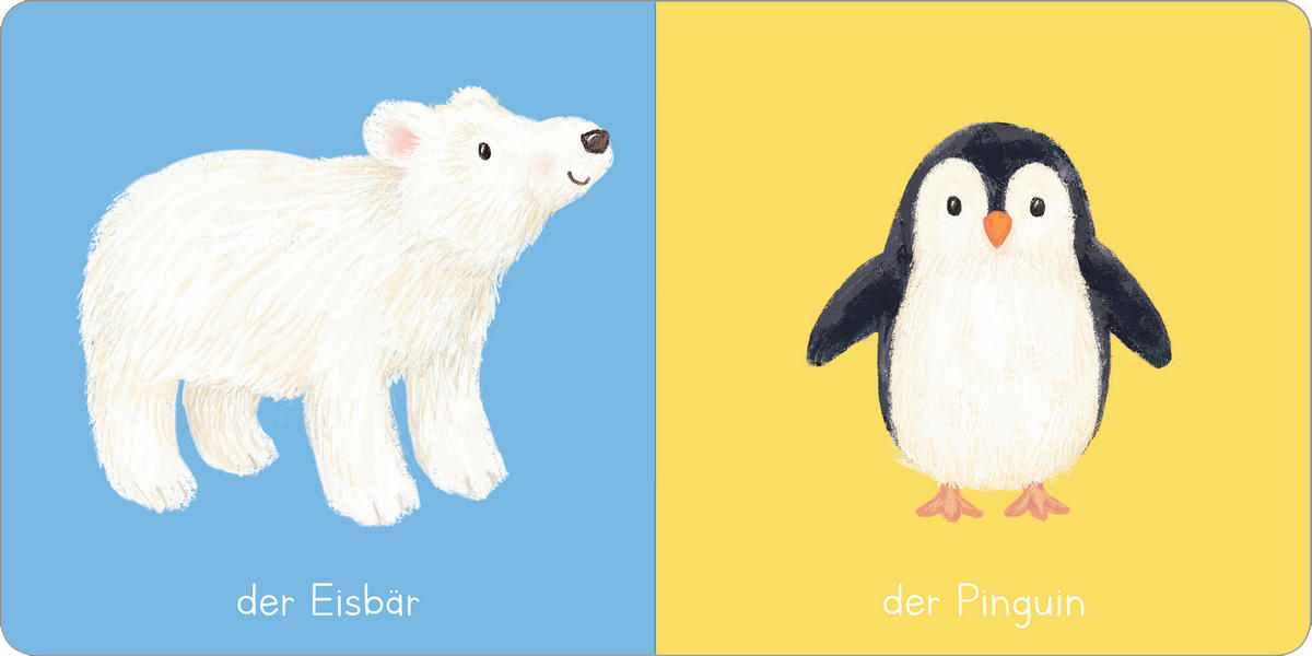 BILDERBUCH  - Multicolor, Basics, Papier (16,6/16,4/1,6cm) - Carlsen