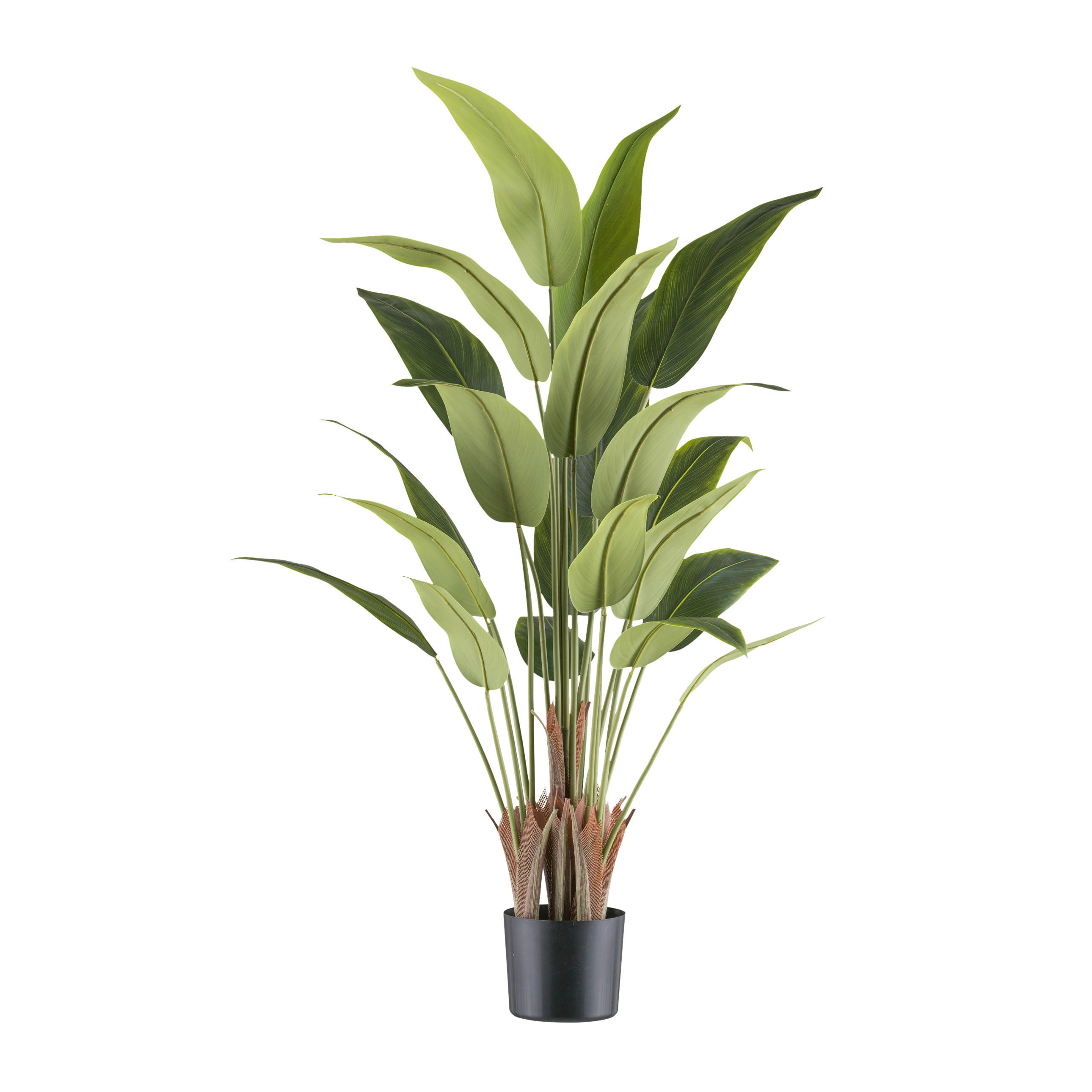 KUNSTPFLANZE Strelitzie 120 cm  - Schwarz/Braun, Design, Kunststoff (120cm)