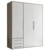DREHTÜRENSCHRANK in Weiss, Eiche San Remo  - Weiss/Silberfarben, Modern, Holzwerkstoff/Kunststoff (155/194/58cm) - Livetastic