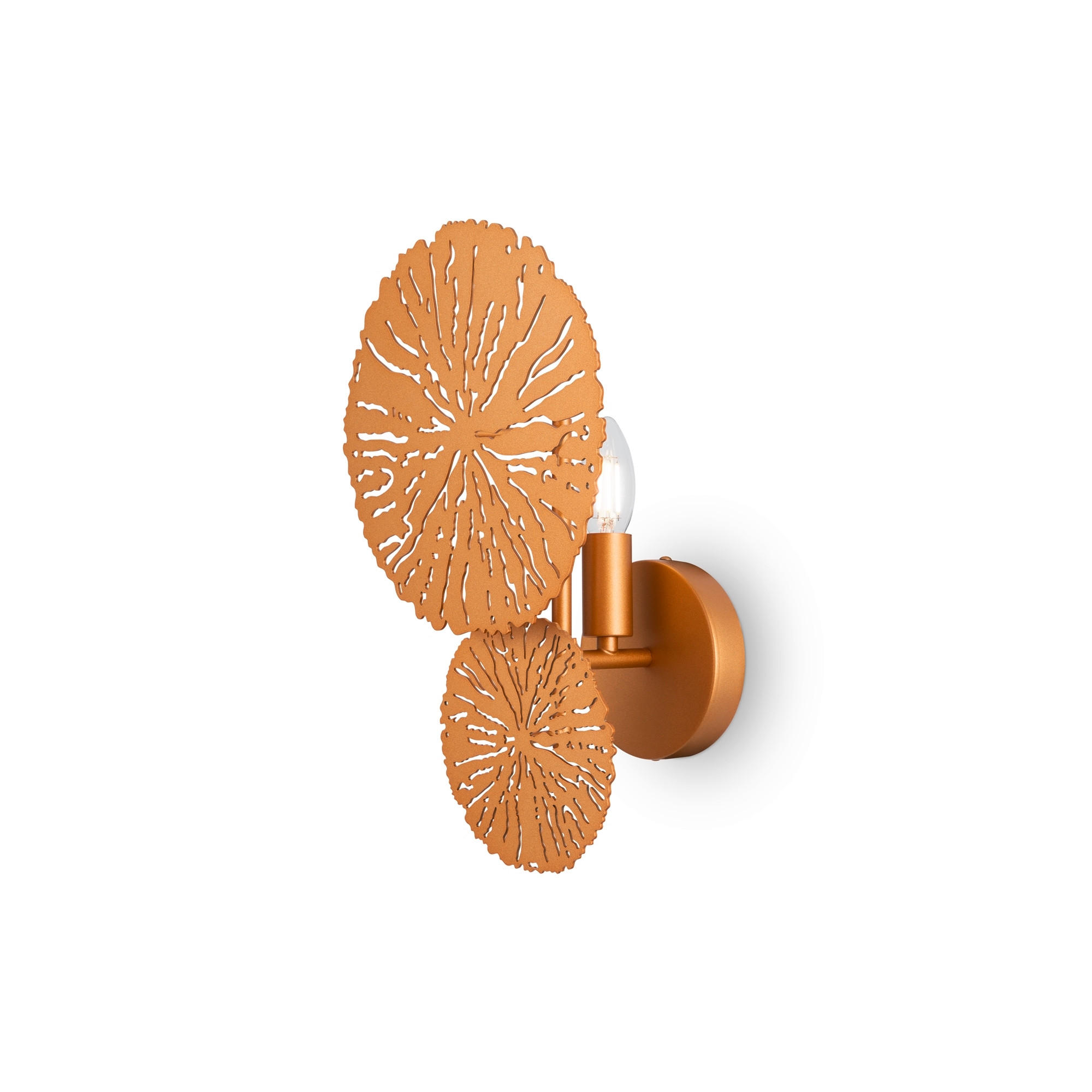 VÄGGLAMPA Modern   - guldfärgad, Trend, metall (36,2/23/16,2cm) - MAYTONI