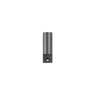 AUSSENWANDLEUCHTE - Anthrazit, Basics, Metall (7/22/11,8cm) - Trio Leuchten