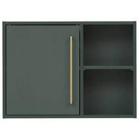 HÄNGESCHRANK 66,8/48,4/16 cm  - Waldgrün/Goldfarben, MODERN, Holzwerkstoff/Metall (66,8/48,4/16cm) - Stylife