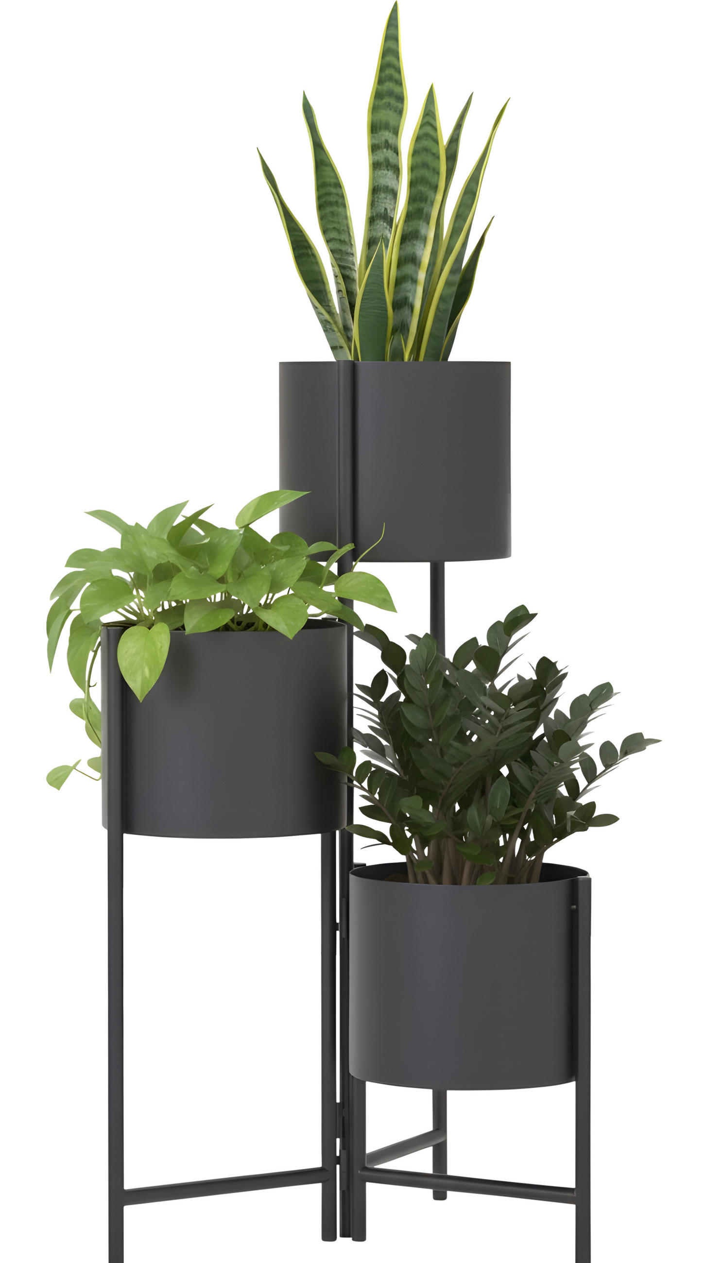 BLUMENSTÄNDER Metall  - Schwarz, Trend, Metall (36/65/36cm) - Landscape