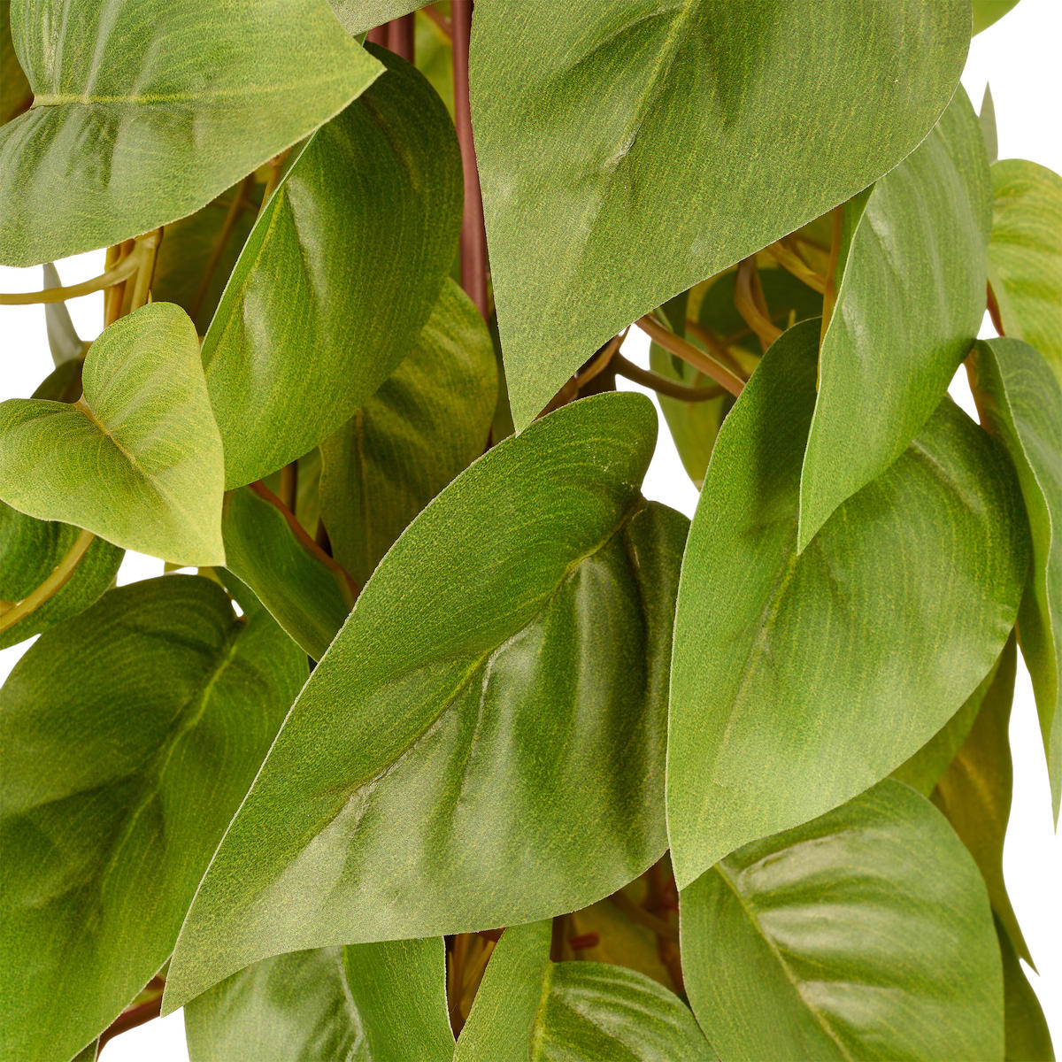KUNSTPFLANZE Philodendron 125 cm  - Schwarz/Grün, Basics, Kunststoff (125cm)