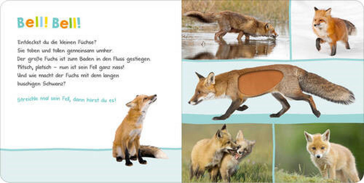 SOUNDBUCH - Basics (19,5/19,3/1,8cm) - Carlsen