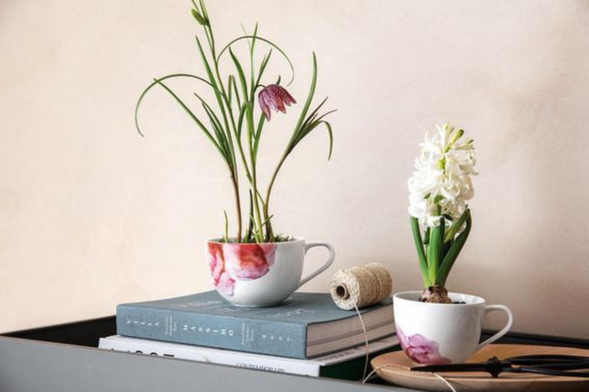 SKODELICA ZA KAVO  ROSE GARDEN  230 ml      - roza/bela, Basics, keramika (230ml) - Villeroy & Boch