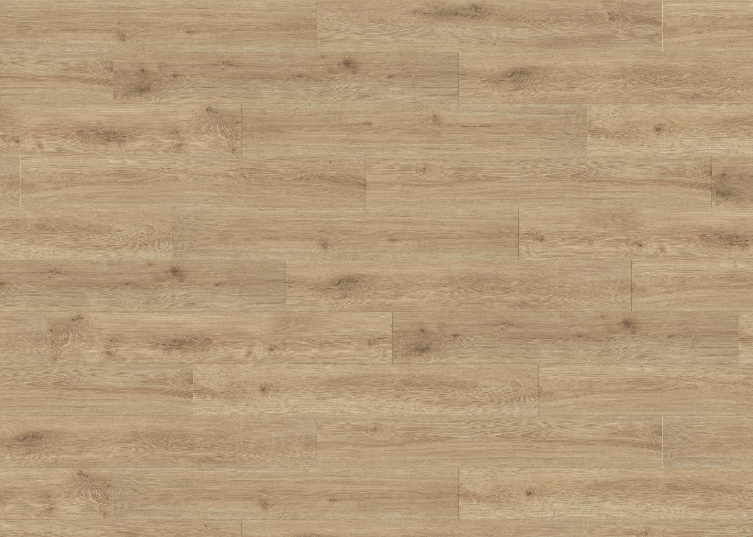 LAMINATBODEN Living by HARO Laminat Sonderedition NKL 31  per  m² - Honigeiche, Basics, Holzwerkstoff (19.3/128.2cm) - Living by HARO