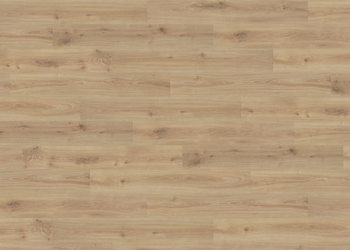 LAMINATBODEN Living by HARO Laminat Sonderedition NKL 31  per  m² - Honigeiche, Basics, Holzwerkstoff (19.3/128.2cm) - Living by HARO