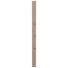 GARDEROBENPANEEL - Taupe, Design, Holzwerkstoff/Metall (10/165/3cm) - Moderano GARDEROBENPANEEL - Taupe, Design, Holzwerkstoff/Metall (10/165/3cm) - Moderano