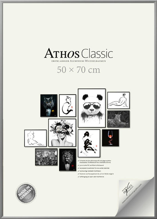 BILDERRAHMEN - Silberfarben, Basics, Papier/Holzwerkstoff (50/70/1,8cm)