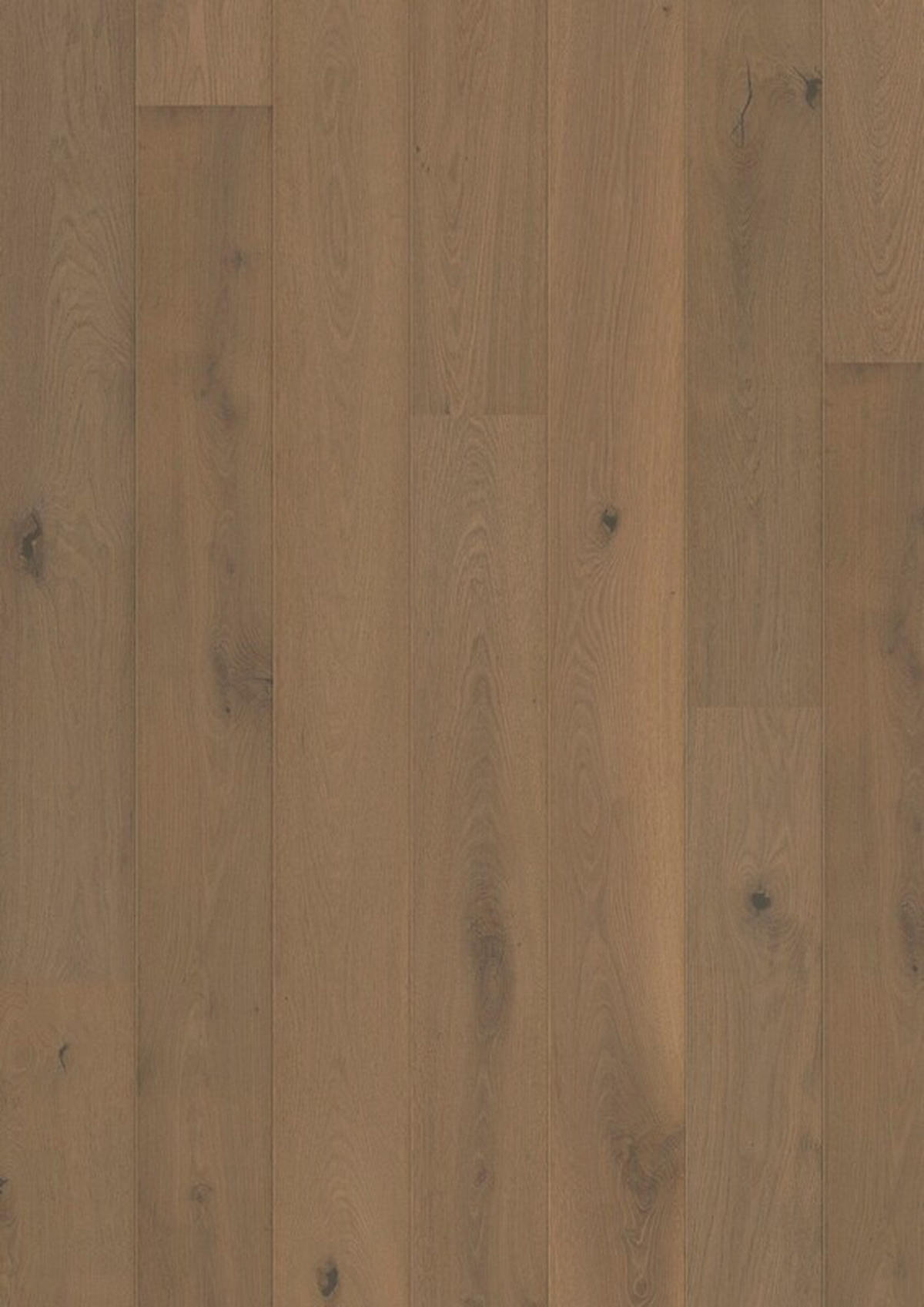 LANDHAUSDIELE Marcanto Trend Eiche Cafe!Pur Alpin100011801  per  m² - Eichefarben, Trend, Holz (220,5/17,6/1,3cm) - Tilo