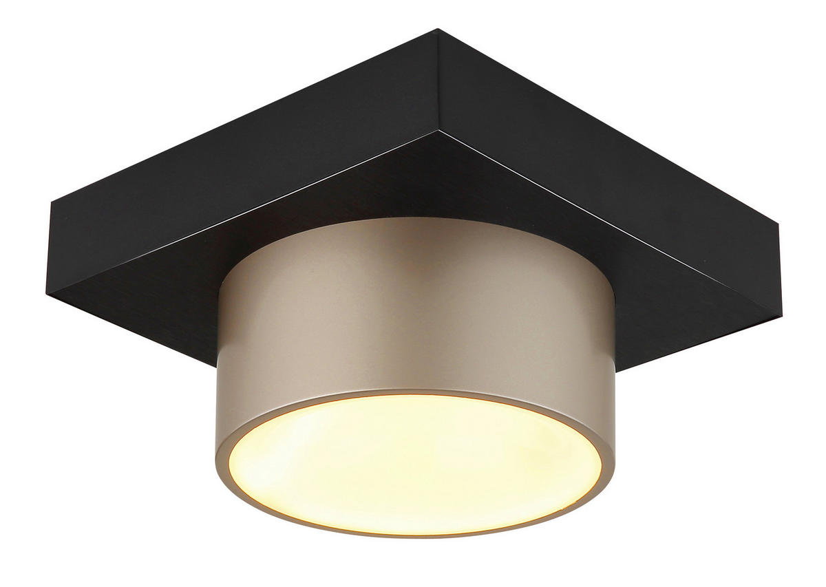 DECKENLEUCHTE 20/20/13 cm  - Champagner/Opal, Trend, Kunststoff/Metall (20/20/13cm) - Collet's Monde