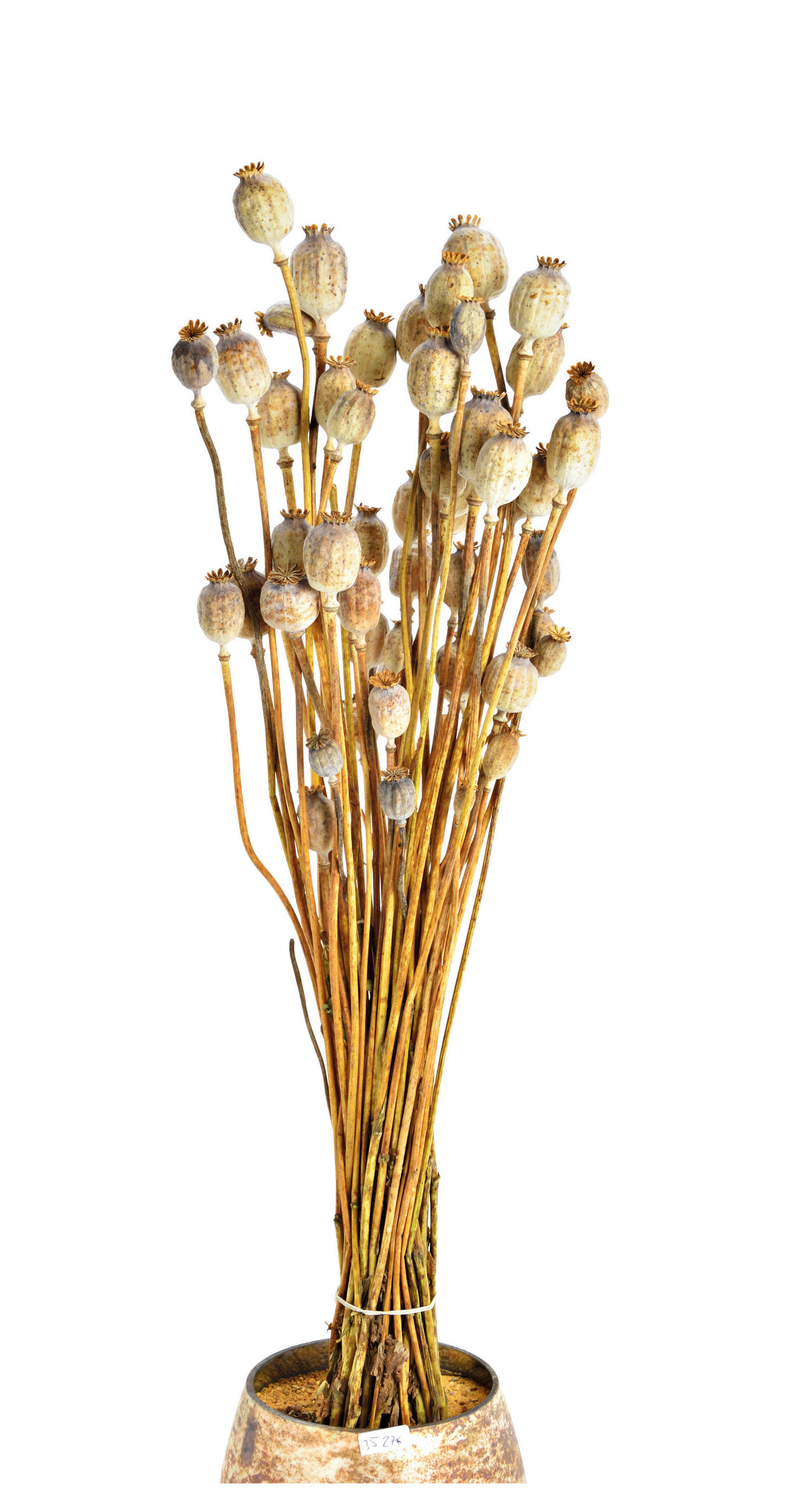 TROCKENBLUMENSTRAUß  - Naturfarben, Basics, Naturmaterialien (50cm)
