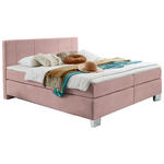BOXSPRINGBETT 160/200 cm  in Rosa  - Chromfarben/Rosa, KONVENTIONELL, Kunststoff/Textil (160/200cm) - Hom`in