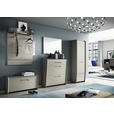 GARDEROBENPANEEL  in 95/104/29 cm  - Taupe/Alufarben, Design, Glas/Holzwerkstoff (95/104/29cm) - Dieter Knoll