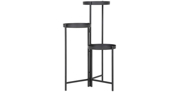BLUMENSTÄNDER Metall  - Schwarz, Trend, Metall (90/76cm) - Landscape