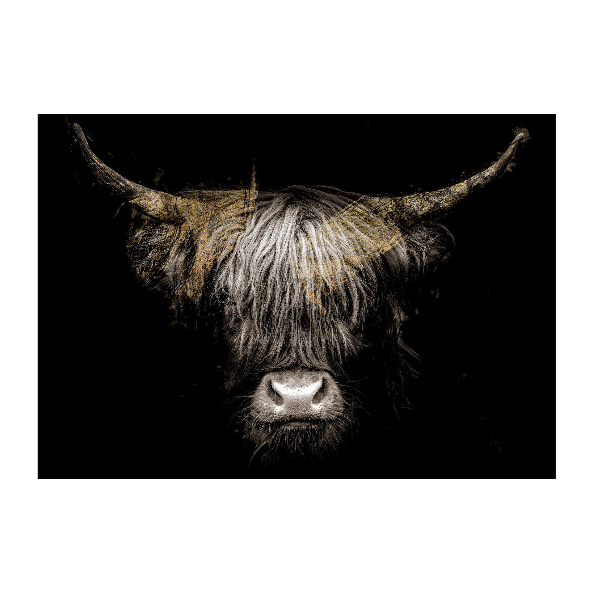 LEINWANDBILD Tiere 85/113 cm  - Multicolor/Schwarz, Basics, Holz/Textil (85/113cm)