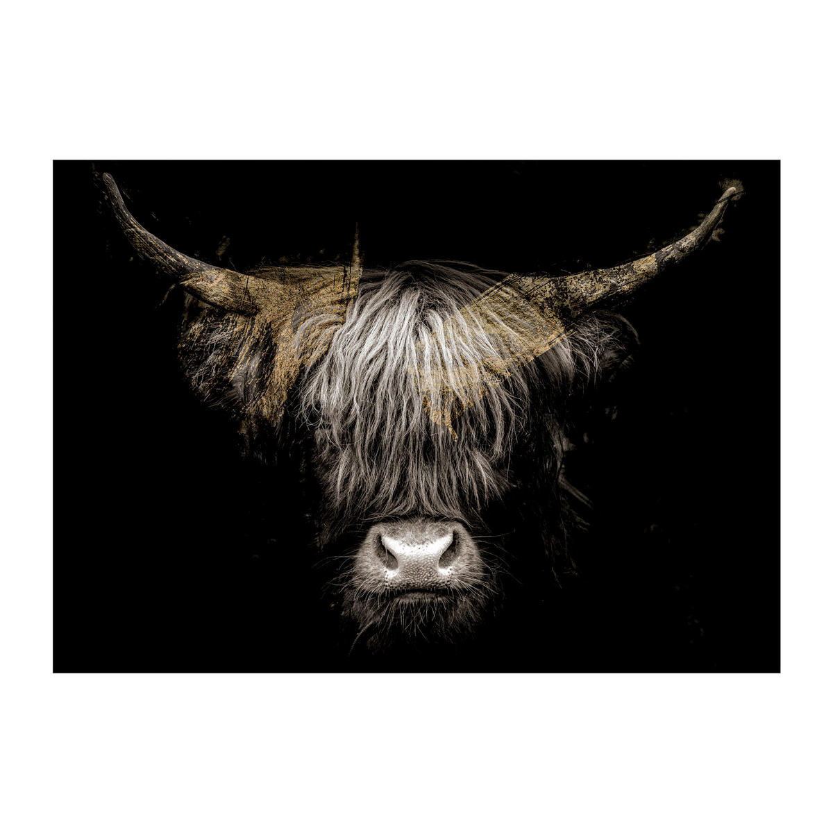 LEINWANDBILD Tiere 85/113 cm  - Multicolor/Schwarz, Basics, Holz/Textil (85/113cm)