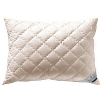 PROŠIVENI JASTUK  60/80 cm       - šampanjac, Konvencionalno, tekstil (60/80cm) - Billerbeck