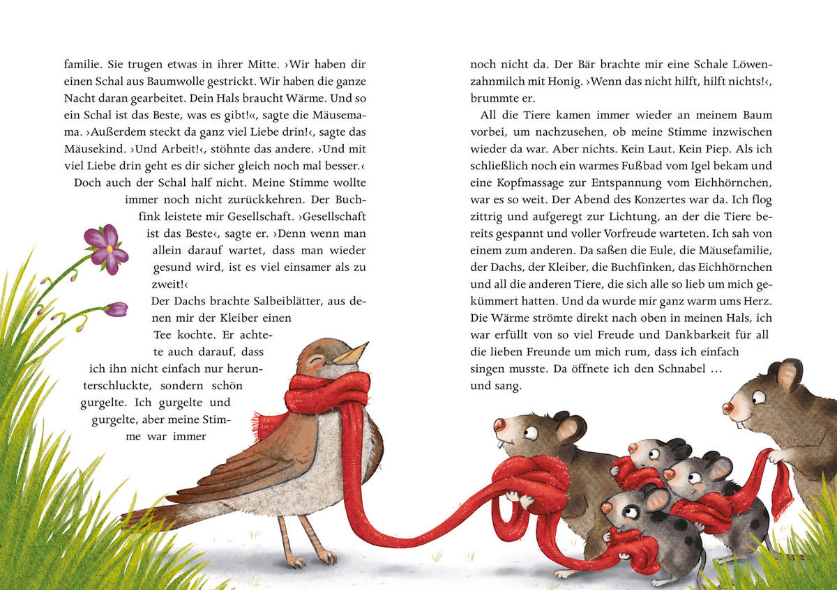 BUCH - Basics (17,6/24,6/1,8cm)