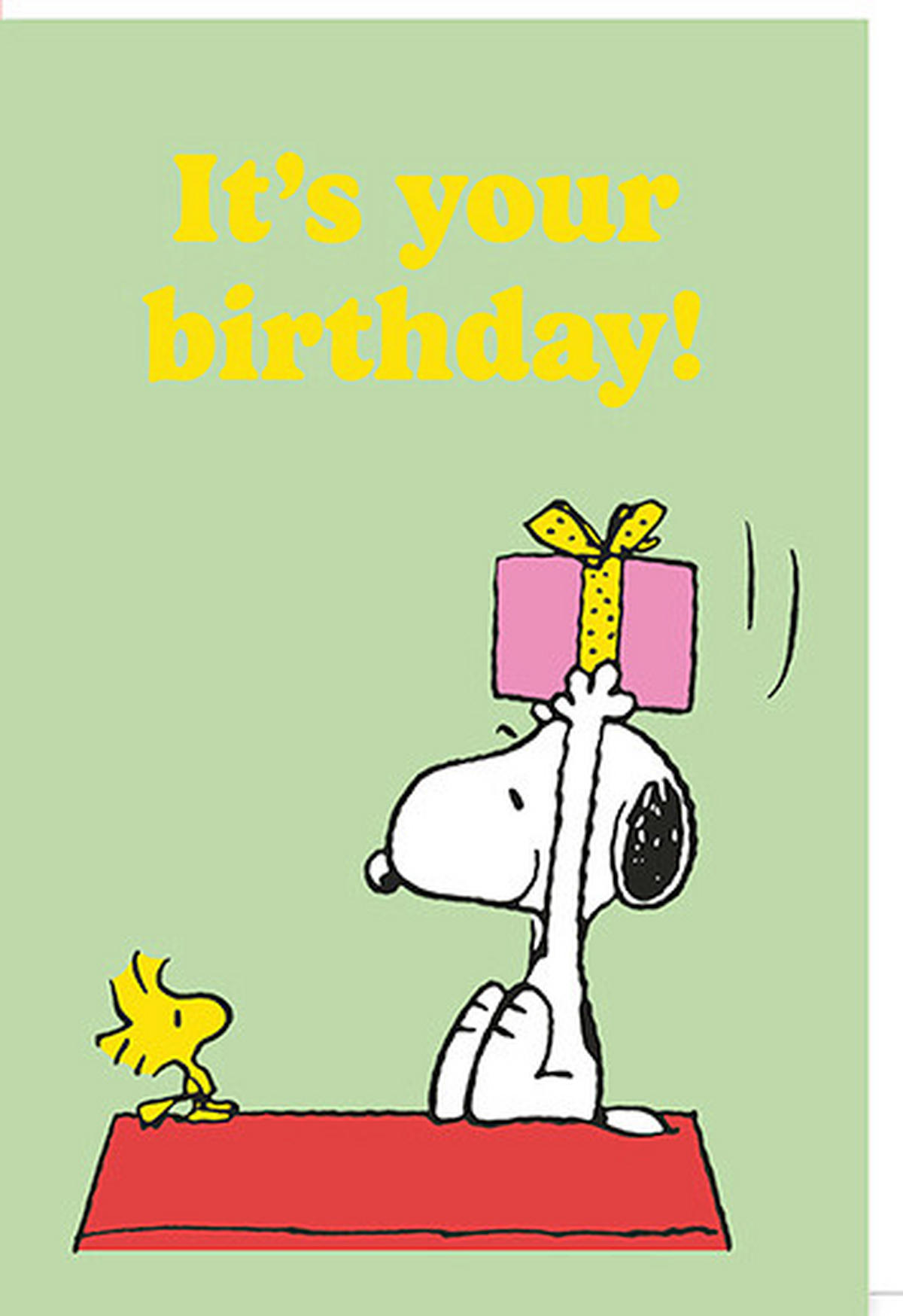 KLAPPKARTE   Multicolor  - Multicolor, Basics, Papier (11.5/17cm)